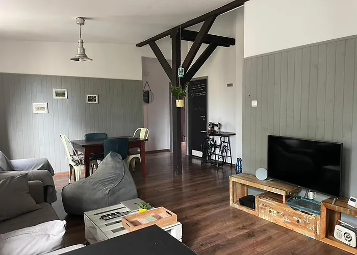 Piekny,duzy Loft 80 Metrow Blisko Centrum